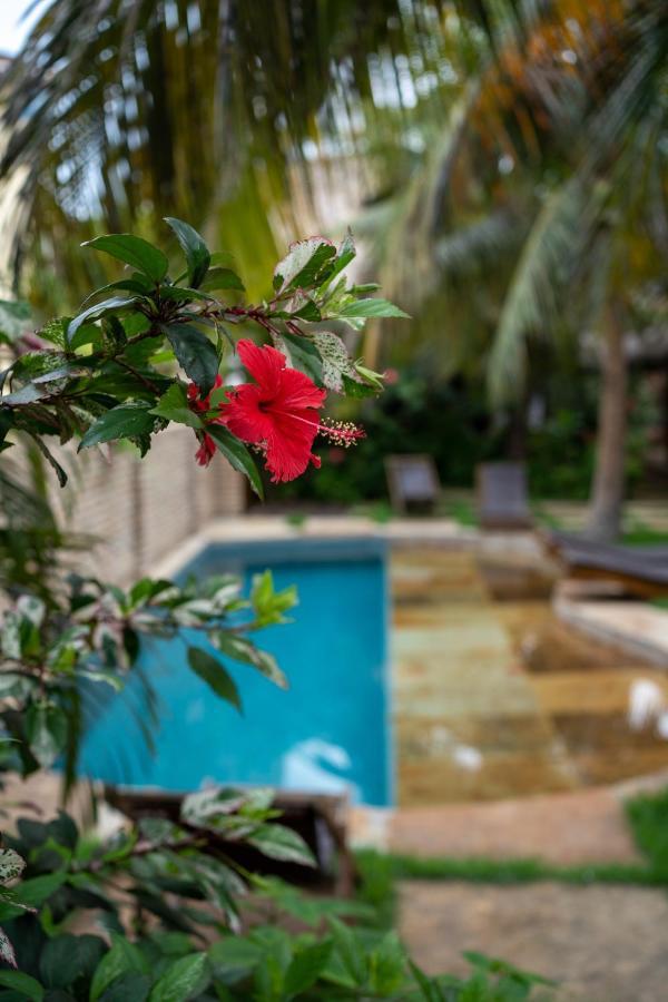 Casa Fufi Hotel Jijoca de Jericoacoara Bagian luar foto